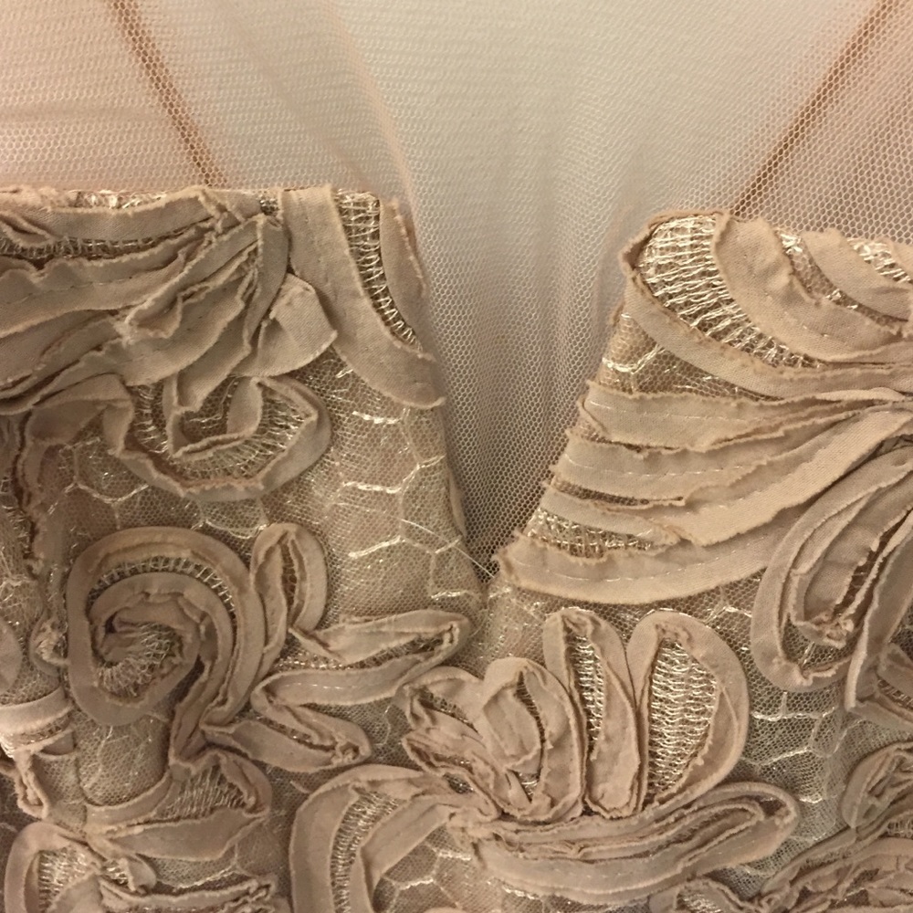 BCBG DRESS - Picture 3 of 4